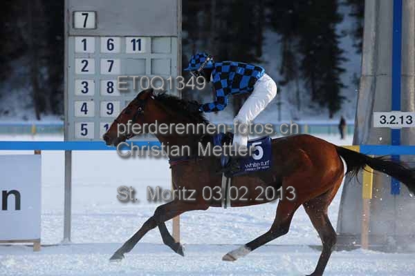 ET0Q1349 prot